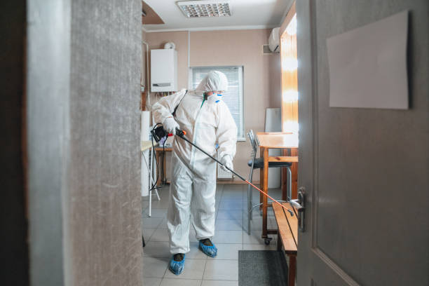 Best Mold Removal for HVAC Installations  in West Valley City, UT